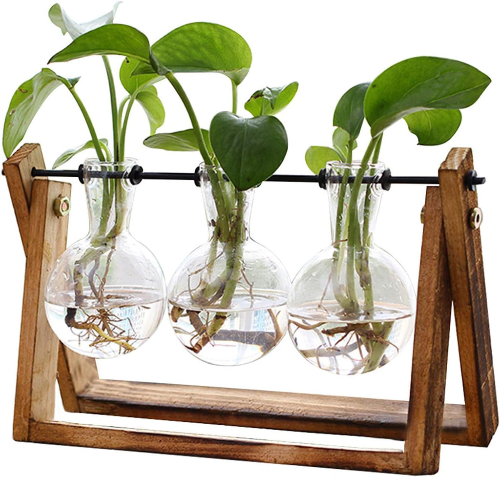 XXXFLOWER Glass Propagation Station — Wooden Stand & 3 Vases