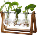 XXXFLOWER Glass Propagation Station — Wooden Stand & 3 Vases