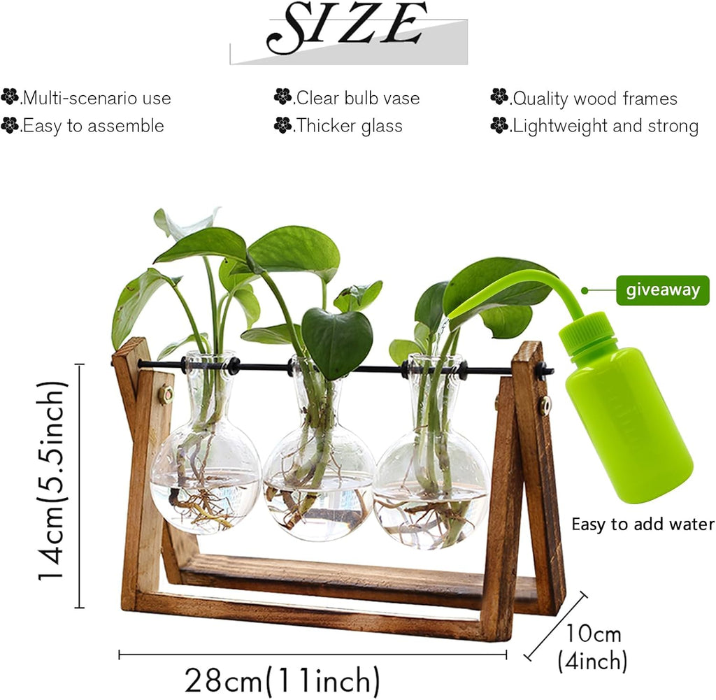 XXXFLOWER Glass Propagation Station — Wooden Stand & 3 Vases