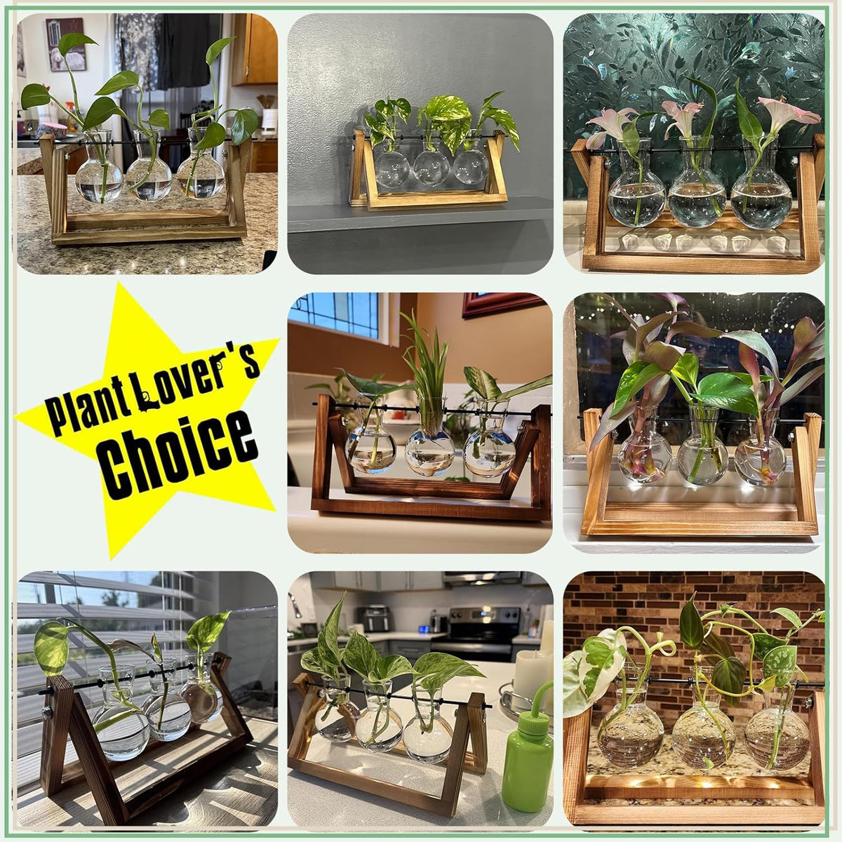 XXXFLOWER Glass Propagation Station — Wooden Stand & 3 Vases
