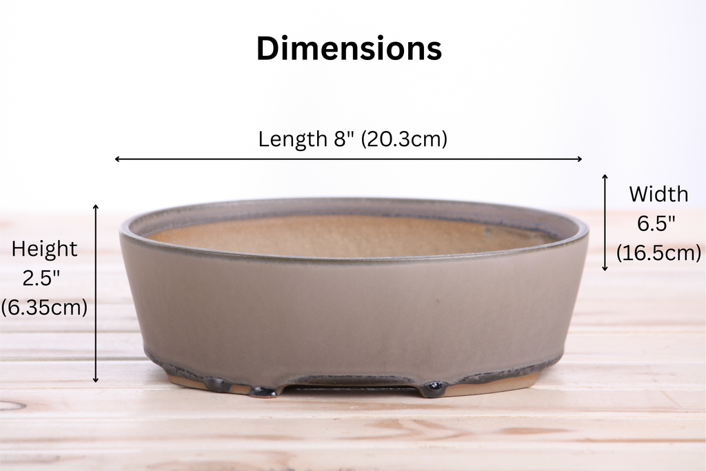 Oval A Bonsai Pot 8 Inch – Straight‑Sided Oval Ceramic Bonsai & Succulent Planter, High‑Fired Frost‑Proof Stoneware with Drainage & Wiring Holes, Handmade in USA (Ocean)