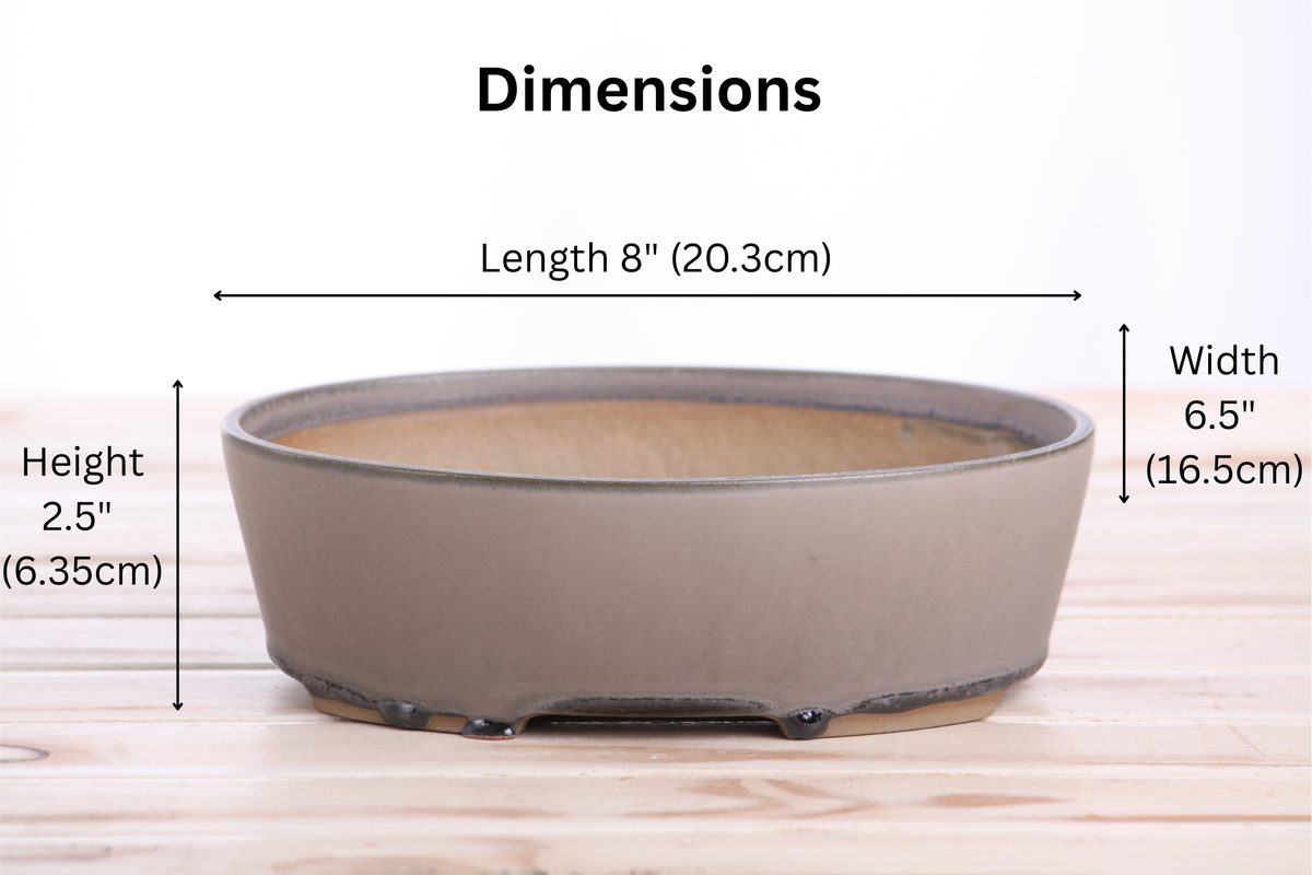 Oval A Bonsai Pot 8 Inch – Straight‑Sided Oval Ceramic Bonsai & Succulent Planter, High‑Fired Frost‑Proof Stoneware with Drainage & Wiring Holes, Handmade in USA (Ocean)
